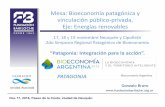Mesa: Bioeconomía patagónica y vinculación público-privada ... · -Propiciar la vinculación de largo plazo entre los sectores científico tecnológico, intergubernamental y privado.-Incrementar