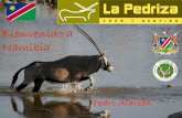 Bienvenido a Namibia - cazaygestion.com · -Nos adaptamos totalmente a los gustos del cazador, siendo el rececho a pie, la modalidad de caza más común en la finca.-Si el cazador