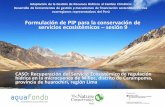 Presentación de PowerPoint³n-9... · ecorregiones representativos del Perú Formulación de PIP para la conservación de servicios ecosistémicos –sesión 9 CASO: Recuperación