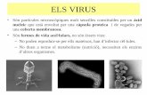 ELS VIRUS - cosmolinux.no-ip.orgcosmolinux.no-ip.org/recursos_aula/BIO2nBAT/Microbiologia/els_virus.pdf · – Dins la cèl·lula (fase intracel·lular del virus) el genoma víric