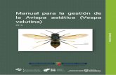 Manual para la gestión de la Avispa asiática (Vespa …...Vespa velutina nigrithorax es un himenóptero social, perteneciente a la Familia Vespidae. Se le conoce comúnmente como