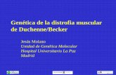 Genética de la distrofia muscular de Duchenne/Beckergustavolorenzo.es/conferencias/enfer/2012/m5c1.pdfHerencia en la distrofia muscular de Duchenne/Becker • 1/3 de los casos son