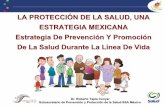 LA PROTECCIÓN DE LA SALUD, UNA ESTRATEGIA MEXICANA ...respyn2.uanl.mx/especiales/ee-6-2003/07.pdf9Identifica signos de alarma 9Verifica condiciones del parto ... Contribuye a hacer