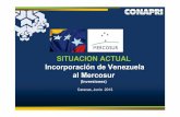 SITUACION ACTUAL Incorporación de Venezuela al Mercosur · SITUACION ACTUAL Incorporación de Venezuela al Mercosur (Inversiones) Caracas, Junio 2013. PANORAMA ... Vegetal y Animal