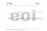 EL GENERADOR FOTOVOLTAICO - EOIapi.eoi.es/api_v1_dev.php/fedora/asset/eoi:45315/componente45313.pdf · El generador Fotovoltaico CIEMAT - DER 7 hierro por sus características de