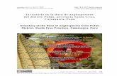Inventario de la flora de angiospermas del distrito Pulán ... · amplio y actualizado de las especies de la flora de angiospermas del distrito Pulán, provincia Santa Cruz, departamento