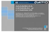 ASAMBLEA GENERAL 3ª COMISIONmunenp.unam.mx/munenp_2011/docs/ASAMBLEA GENERAL 3A COMISION.pdf · El comité organizador de MUNENP 2011, con el apoyo de académicos y funcionarios