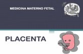 PLACENTA : Primera etapa - Salud Materno Fetal · HIPOXIA FETAL Diabetes Mellitus •Los niveles elevados de hemoglobina y eritropoyetina: feto hipoxico en DMM. •Hematocrito normal.