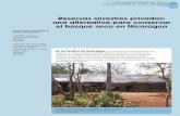 Reservas silvestres privadas: una alternativa para ...bft.cirad.fr/cd/BFT_291_41-53.pdf · Programa Nicaragua Hotel Colón 1c al sur 75 varas arriba, casa 2 Managua Nicaragua Domitila