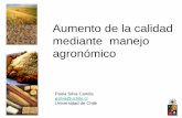 Aumento de la calidad mediante manejo agronómico · - Gluten Húmedo - Gluten Seco - Gluten Index - Vitrosidad - Color Gluten - Punta Negra. Fusarium y Micotoxinas. Pasta café Pasta