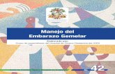 Manejo del Embarazo Gemelar - Instituto Guatemalteco de ... · Instituto Guatemalteco de Seguridad Social (IGSS) Subgerencia de Prestaciones en Salud Comisión de Elaboración de