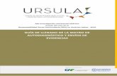 GUÍA DE LLENADO DE LA MATRIZ DE AUTODIAGNÓSTICO Y ENVÍOS DE …unionursula.org/wp-content/uploads/2019/04/guia-llenado... · 2019-04-08 · 2da Investigación continental URSULA: