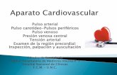Aparato Cardiovascular Pulso y Presión arterialsemiologiahnc.webs.fcm.unc.edu.ar/files/2018/07/Aparato...La arteria radial se palpa en el canal del pulso ( entre los tendones flexores