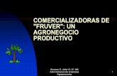 COMERCIALIZADORAS DE FRUVER: UN AGRONEGOCIO …...Nómina-bienestar-kardex-capacitación--reuniones-salarios y prestaciones-fondos de empleados-seguridad industrial-transportadores