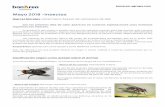 Mayo 2018 -Insectosww2.cag.es/cages/infobovi/Article M. Morales -BOV-25-.pdf · numeroso dentro del reino animal; actualmente existen cerca de un millón y medio de especies. A la