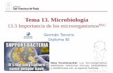Tema 13. Microbiologíadpbiologia.weebly.com/uploads/2/1/5/5/21553524/gtp_t13.microbiología... · biogeoquímicos, como el del carbono o del nitrógeno.-Perjudiciales: Hay muchos