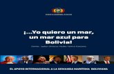 ESTADO PLURINACIONAL DE BOLIVIA...Con esta breve introducción, el Gobierno del Estado Plurinacional de Bolivia hace un cordial llamado a todas las autoridades, organismos multilaterales