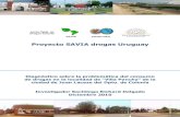 Proyecto SAVIA drogas Uruguay - CICADDiagnóstico sobre consumo de drogas en Villa Pancha, ciudad de Juan Lacaze, Dpto. Colonia Sociólogo Richard Delgado 7 2. Introducción. El Proyecto
