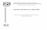 BOSQUE MESÓFILO DE MONTAÑA pdf... · 2014-02-21 · BOSQUE MESÓFILO DE MONTAÑA. 23 de Abril de 2010. Los bosques mesófilos de montaña mexicanos (Rzedowski, 1978) representan