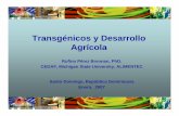 Transgénicos y Desarrollo Agrícolacedaf.org.do/eventos/seminario_agro_trans/23012007/...Transgénicos y Desarrollo Agrícola Santo Domingo, República Dominicana Enero, 2007 Rufino