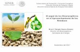 El papel de los Bioenergéticos en el Aprovechamiento de los …rtbioenergia.org.mx/wp-content/uploads/2017/12/Cuba... · 2017-12-07 · Los requerimientos establecidos por la SENER