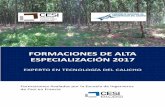 FORMACIONES DE ALTA ESPECIALIZACIÓN 2017...FORMACIONES DE ALTA ESPECIALIZACIÓN 2017 EXPERTO EN TECNOLOGÍA DEL CAUCHO EXPERTO EN TECNOLOGÍA DEL CAUCHO 40 HORAS PRESENCIALES 5, 6,