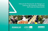 Manual de Prevención de Riesgos en Labores de …...3 Manual de Prevención de Riesgos en Labores de Cosecha y Embalaje de Frutas de Exportación Agradecimientos Agradecemos a las
