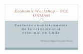 Economic Workshop –FCE UNMSM · Las personas que han sido imputadas por delitos económicos en su primer delito (robo, robo no violento y hurto), ha sido una mayor disposición
