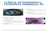 CLÍNICA VETERINARIADE PEQUEÑOS ANIMALES no hagas … · 2012, Vol. 32, nº 1 Editorial 3 Incluir nuestra revista en el MEDLINE E stimados socios y colegas, Iniciamos un nuevo año