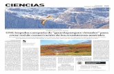 CIENCIAS - La Prensa Austral · - En la plataforma web se reciben los aportes con los que la organización espera apoyar la preservación, ... la estepa. Cortinarius magellanicus