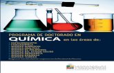 PROGRAMA DE DOCTORADO EN QUÍMICA · 2018-10-04 · POSTULACIÓN Y ADMISIÓN Podrán postular al Programa de Doctorado en Química las personas que estuvieren en posesión del grado