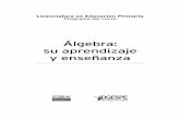 Álgebra: su aprendizaje y enseñanzaescuelanet.mx/escuelas/estefania/Archvios_Mapas/Primaria... · 2014-05-07 · abordar el estudio de conceptos y procedimientos algebraicos que