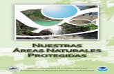  · Preparado por: Coralys Ortiz Tarea 306-4 Programa de Manejo de la Zona Costanera Departamento de Recursos Naturales y Ambientales Esta publicación fue realizada mediante fondos