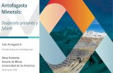Presentación de PowerPoint - Antofagasta Minerals · 2018-06-28 · Electro movilidad. o. Energías renovables. o. Eficiencia energética • Caída de leyes en operaciones existentes
