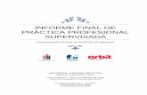 INFORME FINAL DE PRÁCTICA PROFESIONAL SUPERVISADA · 2019-03-27 · Informe Final de PPS Macarena Gimenez Bertola Página 3 de 61 INTRODUCCIÓN: El informe final de la Práctica