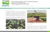 Producción de almácigos para Chiloé y Patagonia Verdebiblioteca.inia.cl/medios/biblioteca/informativos/NR... · 2018-03-28 · Para que un plantín se desarrolle correctamente,