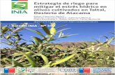 REGIÓN DE ANTOFAGASTA - INIAbiblioteca.inia.cl/medios/biblioteca/boletines/NR41557.pdf · Estrategia de riego para mitigar el estrés hídrico en olivos cultivados en Taltal, Desierto
