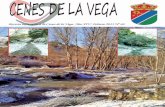 Revista informativa de Cenes de la Vega. Año XIV- Febrero ......Os animamos a participar en la revista de Cenes de la Vega. ... - Las niñas que durante el 2015 cumplirán los 14