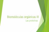 Biomoléculas orgánicas II - WordPress.com...Los aminoácidos Son moléculas pequeñas, monómeros de los péptidos y las proteínas. Son cristalinos, casi todos dulces y presentan