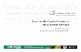 Hernán Araneda Gerente Innovum-Fundación Chile · para capturar la oportunidad • Composición de la industria minera • 13 % de las empresas 80 % de la producción, o sea empresas