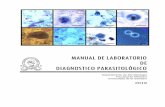 DEPARTAMENTO DE MICROBIOLOGÍA - Universidad de El Salvadormed.ues.edu.sv/Microbiologia/Manual_parasito_CICLO_II_2019.pdf · En todo momento se deberán cumplir las medidas básicas