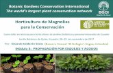 Horticultura de Magnolias para la Conservación 3 Propagacion... · Curso-taller en técnicas para horticultores de jardines botánicos y personal interesado de Ecuador Jardín Botánico