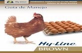 PONEDORAS COMERCIALES HY-LINE BROWN …hylinena.com/wp-content/uploads/2019/10/Brown_Spanish.pdfde manejo. Esta guía describe programas exitosos del manejo de los lotes de aves comerciales