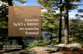 Gestión SySO RRHH en cosecha forestal · donde exista peligro para los operarios, la obligación de tomar las medidas de seguridad para el personal, ... • Las empresas con más