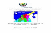 COMITÉ UNIVERSIDAD EMPRESA ESTADO REGIÓN CARIBE · 2017-11-30 · y el eje central de estudio es determinar el Perfil de la Educación Superior en la Región Caribe Colombiana,