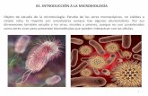 01. INTRODUCCIÓN A LA MICROBIOLOGÍAdepa.fquim.unam.mx/microbio/1410MG-06/T-Presentaciones/... · 2019-08-05 · Ecología Rama de la biología que estudia las interacciones de los