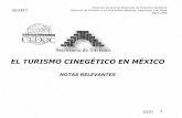 EL TURISMO CINEGÉTICO EN MÉXICO...El Programa de Desarrollo del Sector Turismo 1995-2000, señala que el volumen y gasto del turismo nacional e internacional en nuestro país se