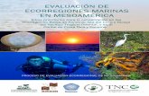 Evaluación de Ecorregiones Marinas en Mesoaméricacpps.dyndns.info/cpps-docs-web/planaccion/biblioteca...EVALUACIÓN DE ECORREGIONES MARINAS EN MESOAMÉRICA 2 Las denominaciones empleadas