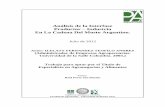 Análisis de la Interfase Productor Industria En La Cadena ...ri.agro.uba.ar/files/download/tesis/especializacion/2013ilelatyteofilo.pdf · más de 224 millones de dólares, y esta