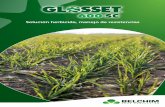 Solución herbicida, manejo de resistenciasbelchim.es/pdf/Leaflet/Glosset_LEAFLET.pdf · • Ingrediente activo : flufenacet • Formulación : SC • Concentración : 60 % Modo de